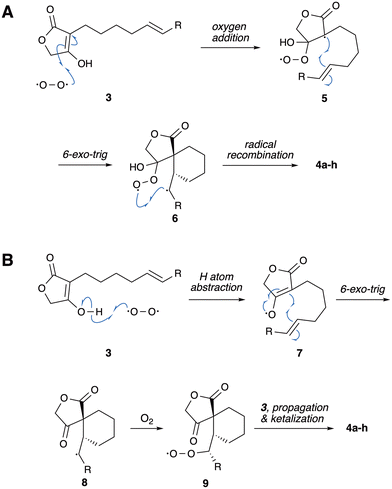 image file: d5ob00663e-s3.tif