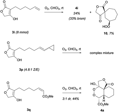 image file: d5ob00663e-s4.tif