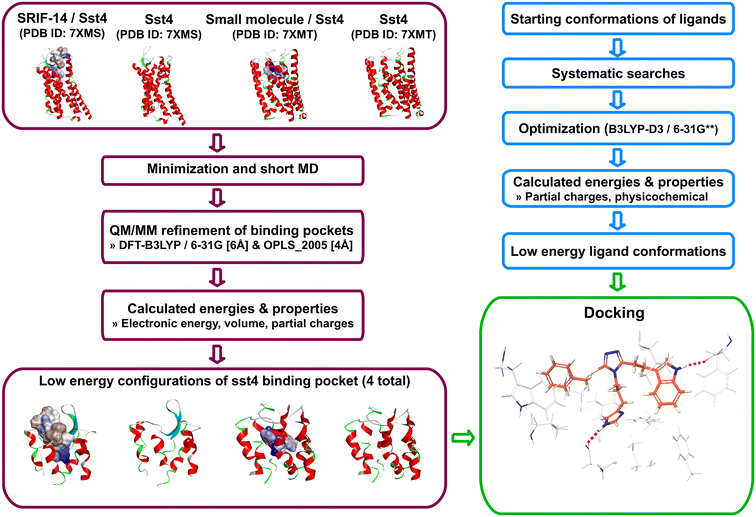 image file: d5ob00775e-f2.tif