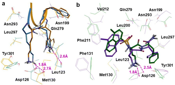 image file: d5ob00775e-f3.tif