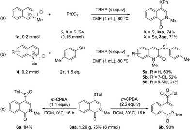 image file: d5ob01074h-s2.tif