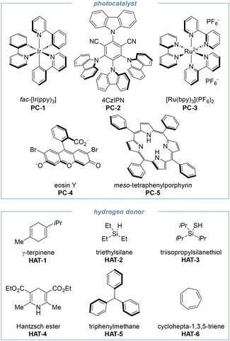 image file: d5ob01407g-u2.tif