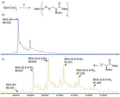 image file: d5ob01481f-f1.tif