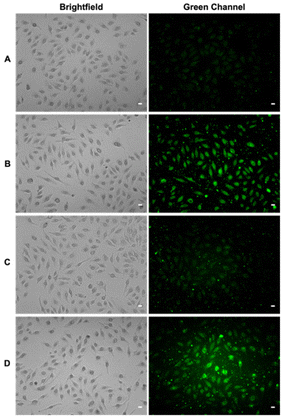 image file: d5ob01481f-f2.tif