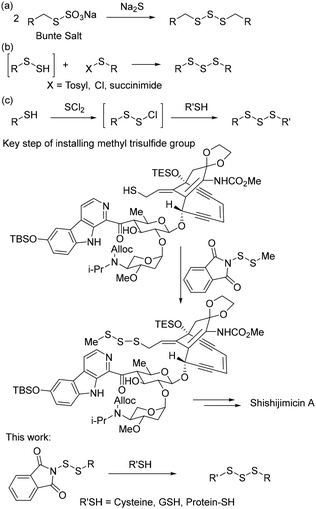 image file: d5ob01481f-s1.tif