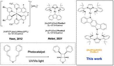 image file: d5ob01503k-s1.tif