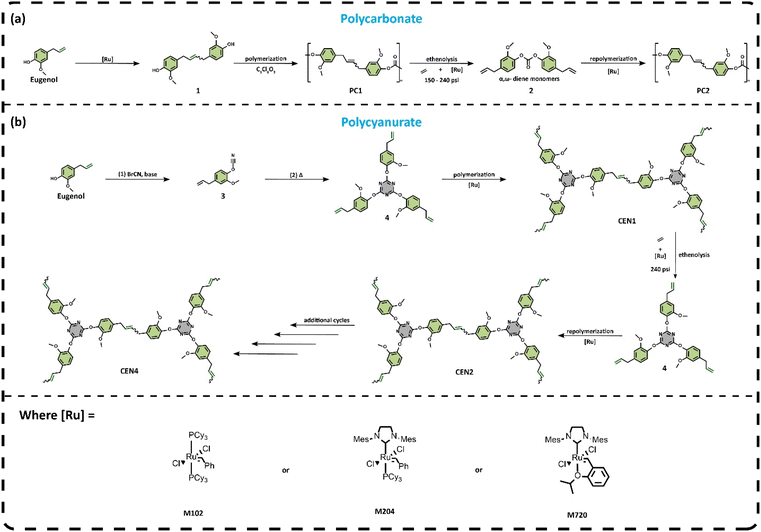 image file: d4py00940a-s1.tif