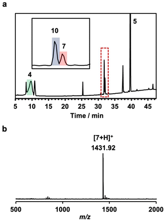 image file: d4py01169d-f1.tif
