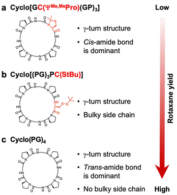 image file: d4py01169d-f5.tif