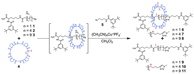 image file: d4py01169d-s1.tif