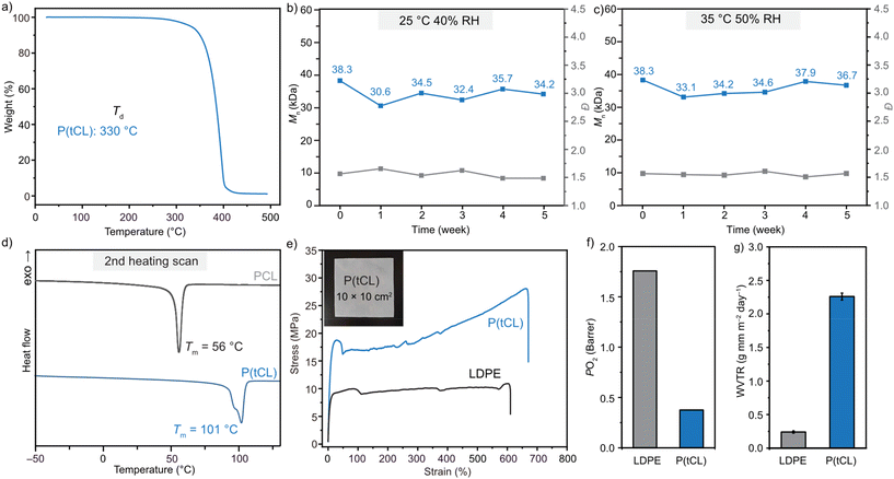image file: d4py01425a-f2.tif