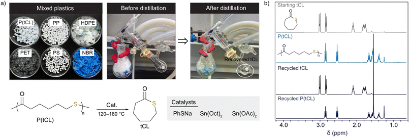 image file: d4py01425a-f3.tif