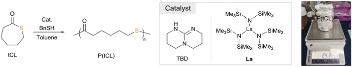 image file: d4py01425a-u1.tif