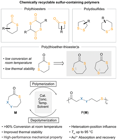 image file: d4py01442a-f1.tif