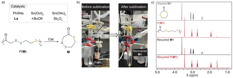 image file: d4py01442a-f3.tif