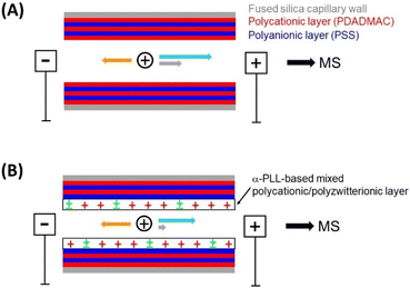 image file: d5py00122f-f1.tif