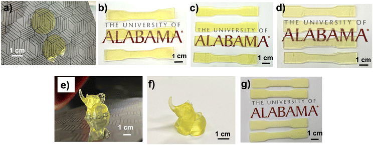 image file: d5py00198f-f4.tif