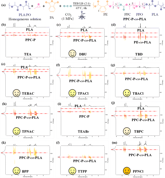 image file: d5py00272a-f5.tif