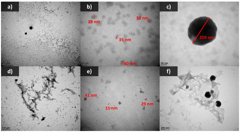 image file: d5py00319a-f7.tif