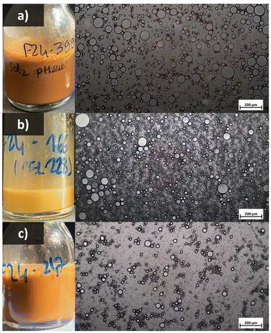 image file: d5py00319a-f9.tif