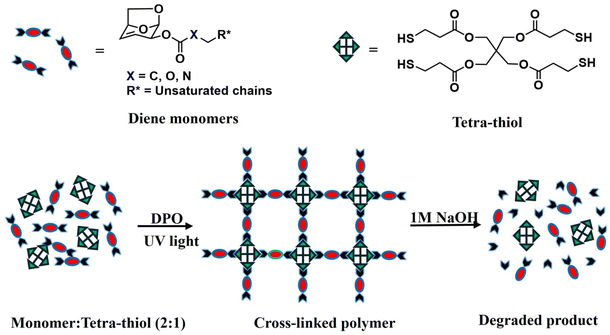 image file: d5py00339c-f1.tif