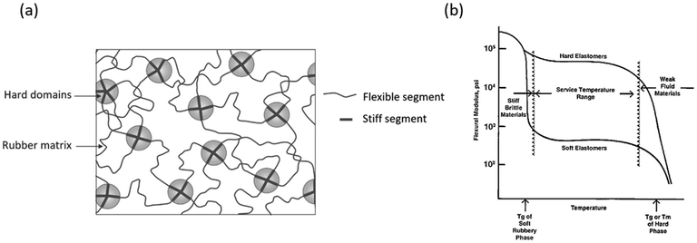 image file: d5py00623f-f1.tif