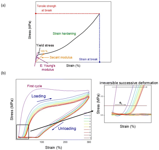 image file: d5py00623f-f2.tif