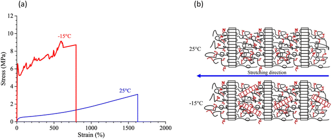 image file: d5py00623f-f6.tif