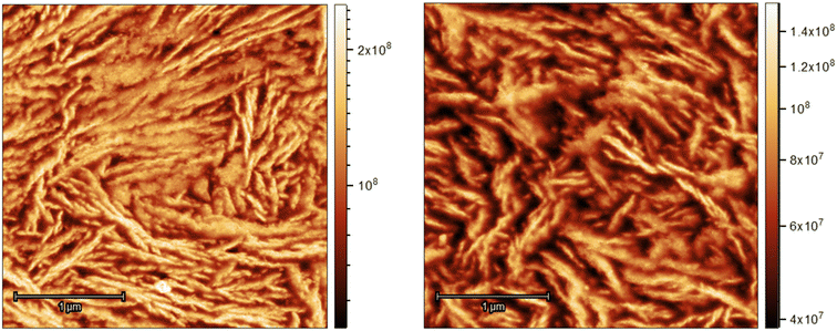 image file: d5py00623f-f8.tif