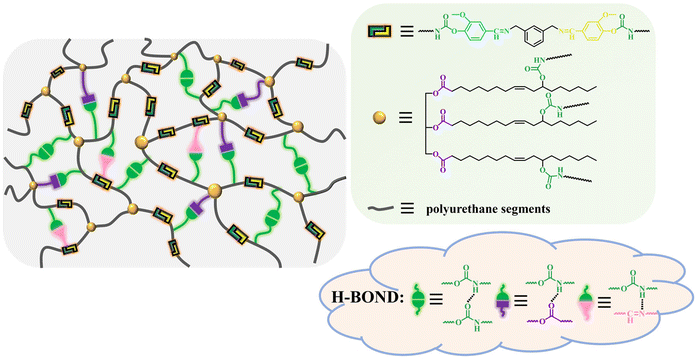 image file: d5py00728c-f1.tif