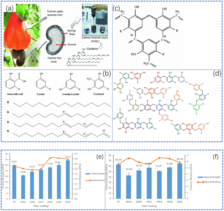 image file: d5py00792e-f11.tif