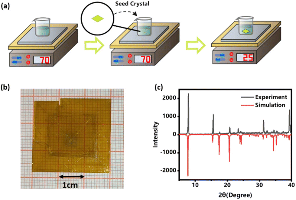 Inch-sized single crystals of radiation-sensitive copper