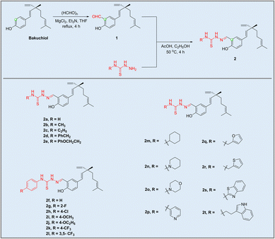 image file: d5ra04625d-s1.tif