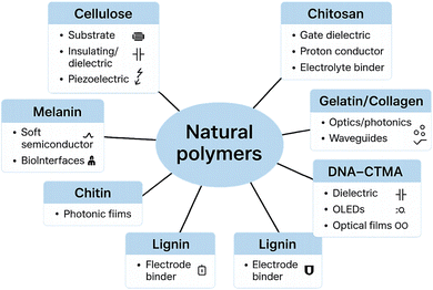 image file: d5ra04656d-f11.tif