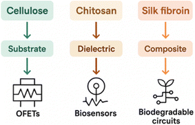 image file: d5ra04656d-f12.tif