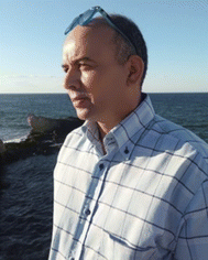 image file: d5ra04656d-p2.tif