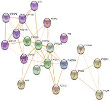 image file: d5ra04875c-u4.tif