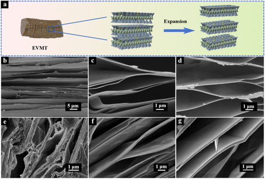 image file: d5ra05038c-f2.tif