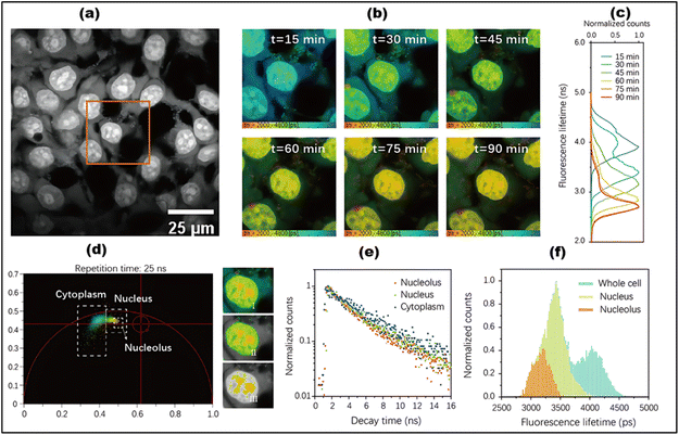 image file: d5ra05371d-f22.tif
