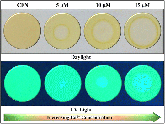 image file: d5ra06005b-f12.tif