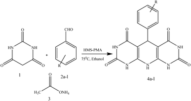 image file: d5ra06191a-u1.tif