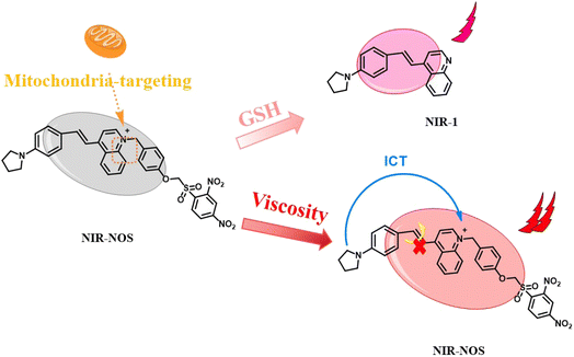 image file: d5ra06464c-s2.tif