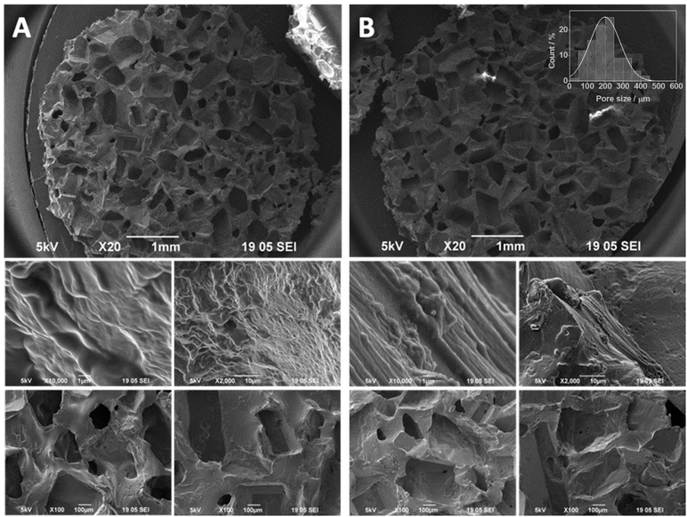 image file: d5ra06688c-f1.tif