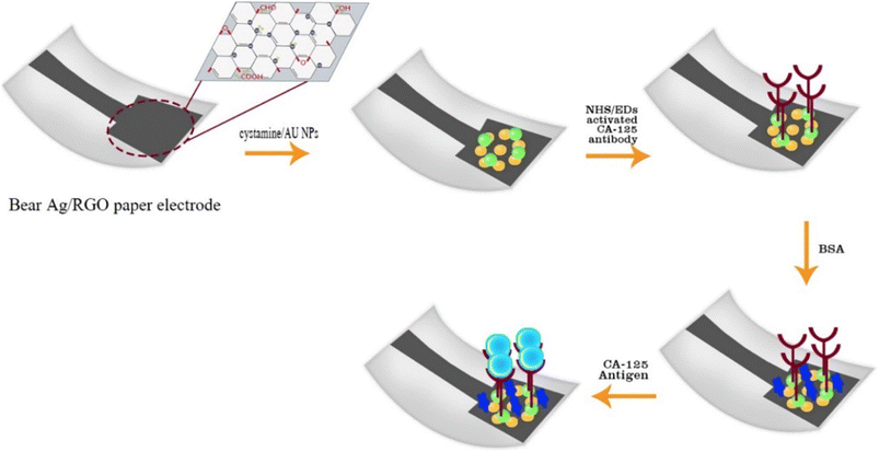 image file: d5ra07096a-s13.tif