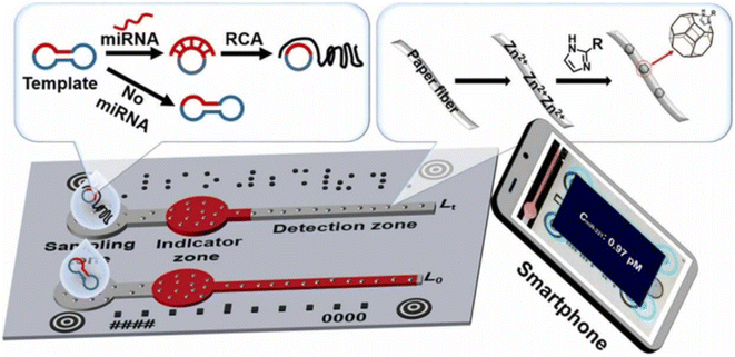 image file: d5ra07096a-s24.tif