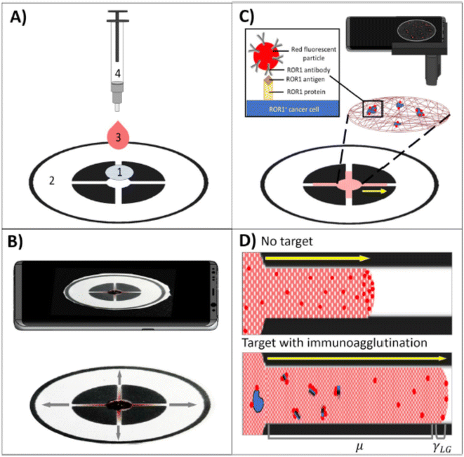 image file: d5ra07096a-s26.tif