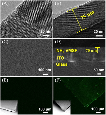 image file: d5ra07346d-f4.tif