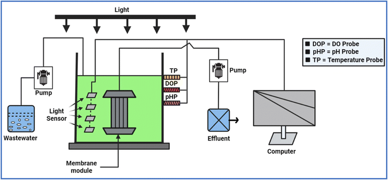 image file: d5ra08065g-f2.tif