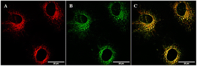 image file: d4sc06628f-f5.tif