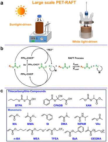 image file: d5sc04010h-f1.tif